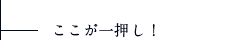 【施設】情報交流センター／ここが一押し