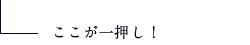 【体験】ポニー乗馬