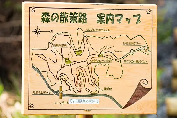 森の散策路案内マップ