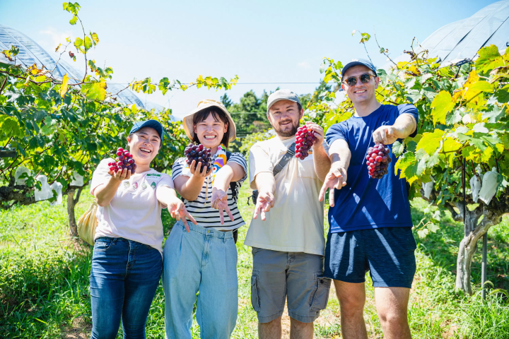 ぶどう狩りを楽しむ様子