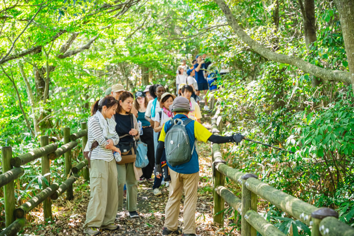 ガイド付きジオウォーク体験