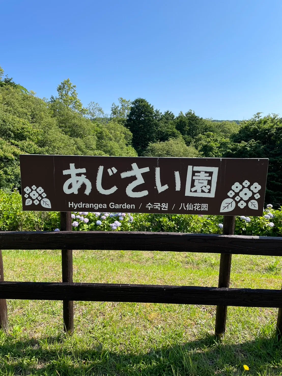 アジサイ園入口