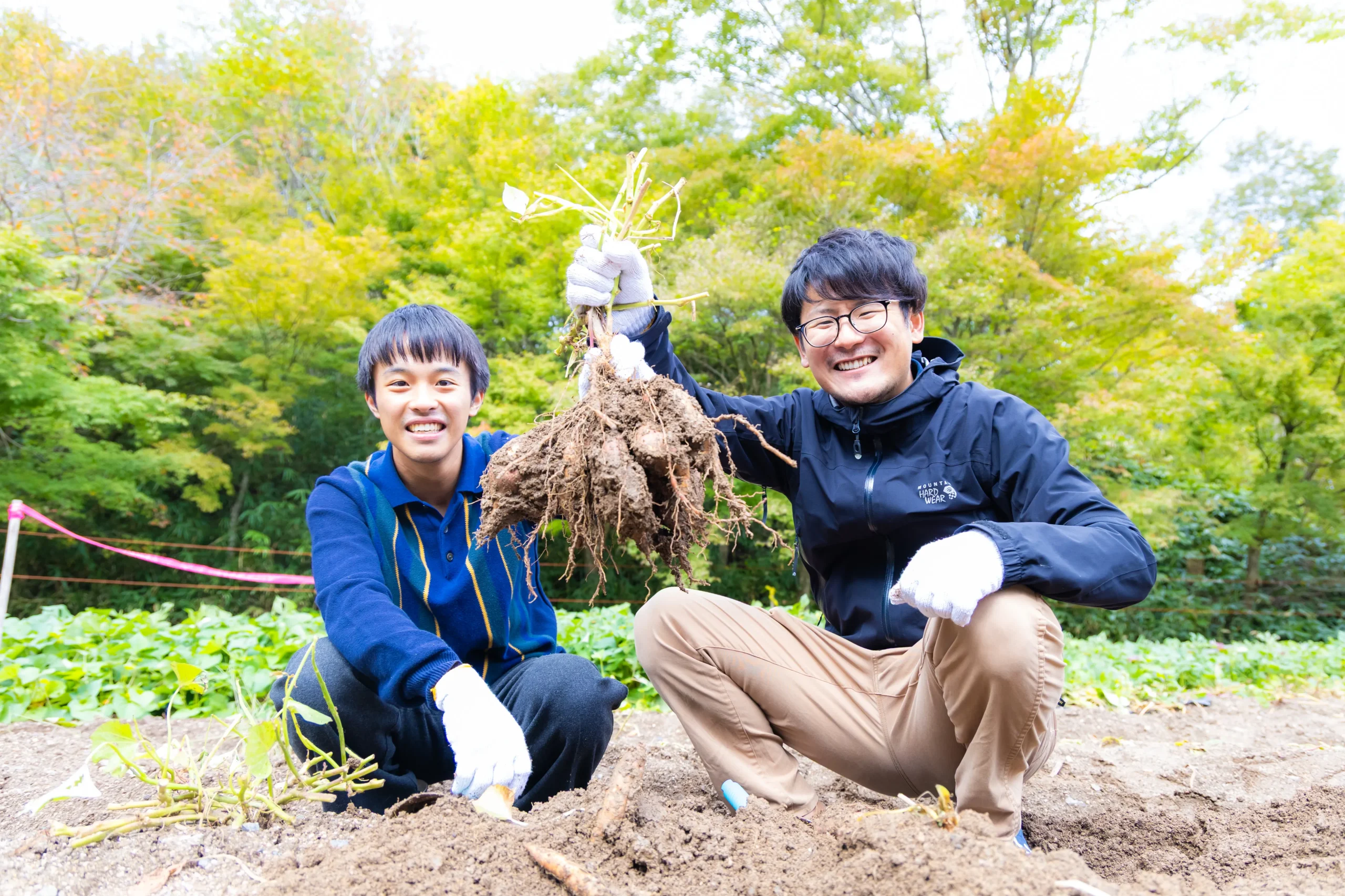 収穫体験をする様子